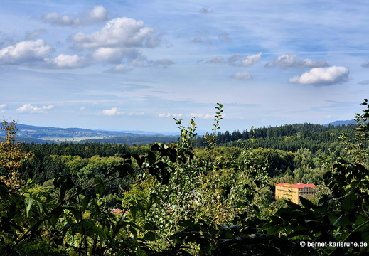 24-09-23-mb-waldweg zu hamelika-006
