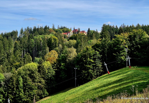 24-09-23-mb-waldweg zu hamelika-010