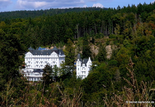 24-09-23-mb-waldweg zu hamelika-012