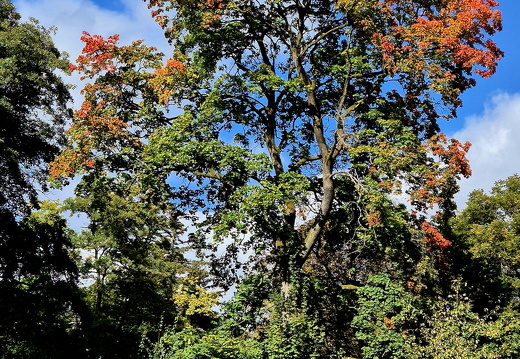 24-09-28-mb-kurpark-008