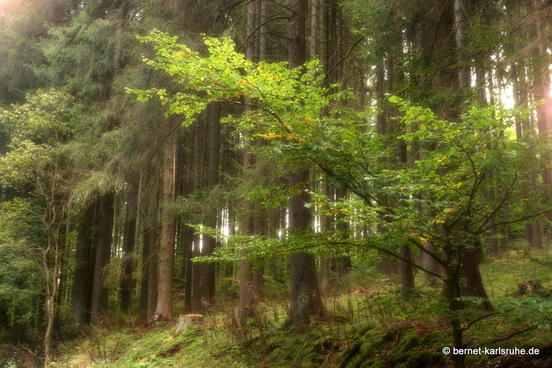 24-09-29-mb-letzter tag-kamzik-023.jpg