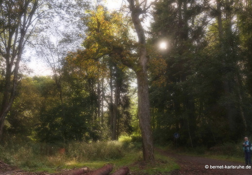 24-09-29-mb-letzter tag-kamzik-036