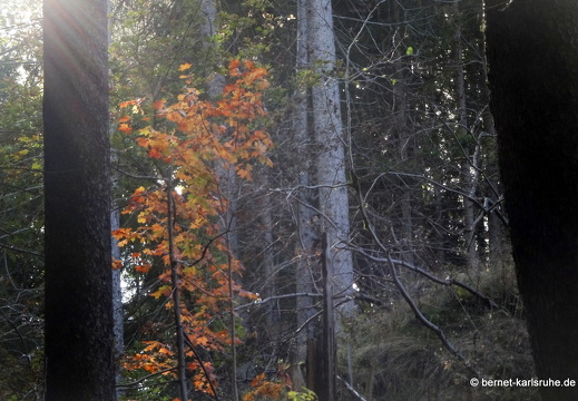 24-09-29-mb-letzter tag-kamzik-041