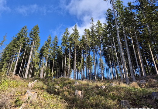 24-09-29-mb-letzter tag-kamzik-045