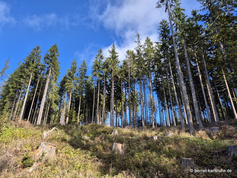 24-09-29-mb-letzter tag-kamzik-045.jpg