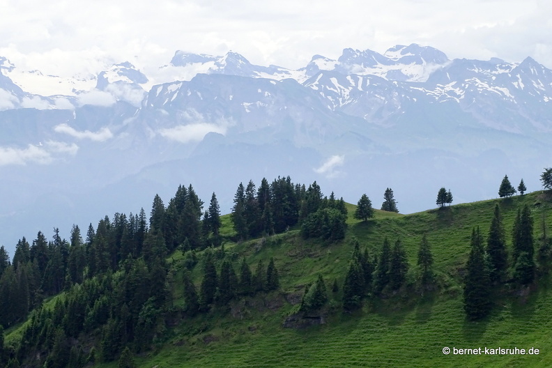 24-06-26-rigi-aussicht-021.jpg