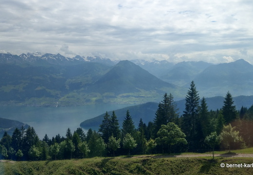24-06-26-rigi-bergbahn-bergab-013