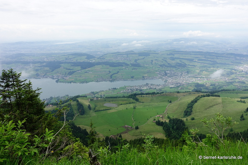 24-06-26-rigi-blumenweg-aussicht-001.jpg
