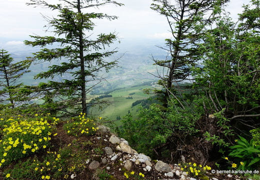 24-06-26-rigi-blumenweg-aussicht-011