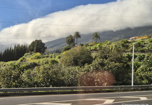 25-01-05-fahrt nach los llanos-006