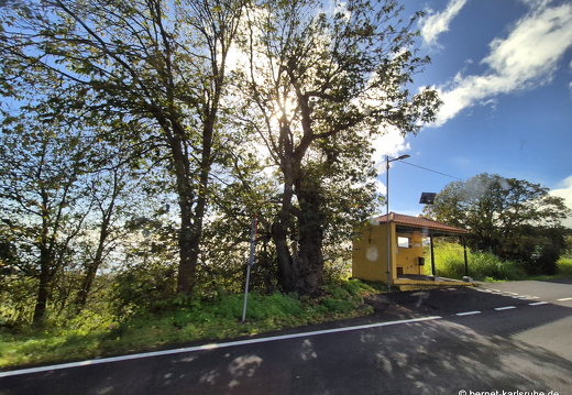 25-01-05-fahrt nach los llanos-009