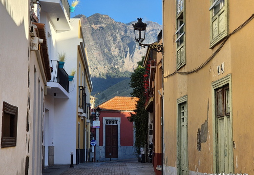 25-01-06-los llanos-016