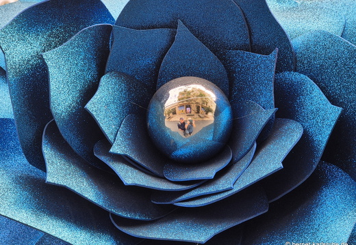 25-01-06-los llanos-063