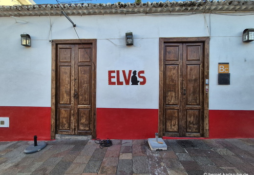 25-01-06-los llanos-elvis-
