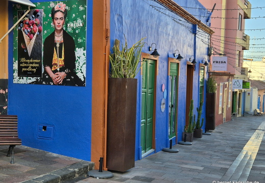 25-01-06-los llanos-frida-001