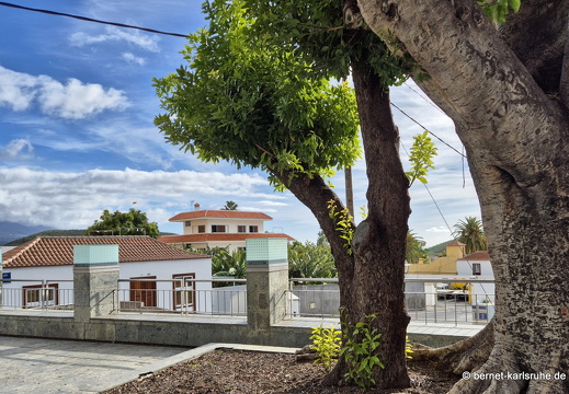 25-01-07-los llanos-022