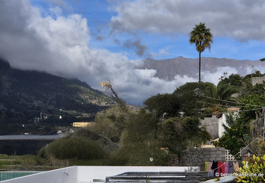 25-01-07-los llanos-035