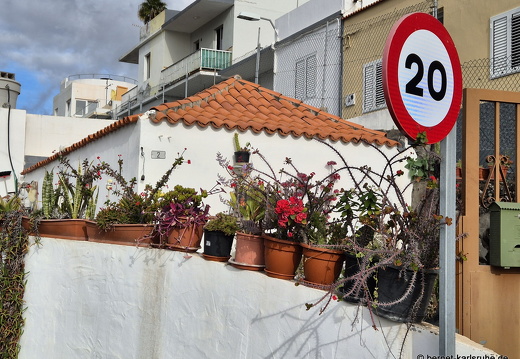 25-01-07-los llanos-045