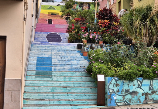 25-01-08-los llanos-060