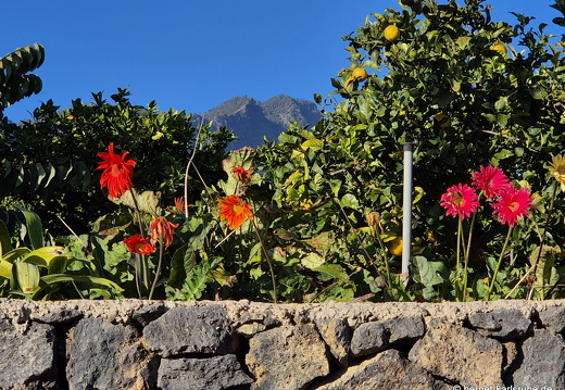 25-01-10-los llanos-019