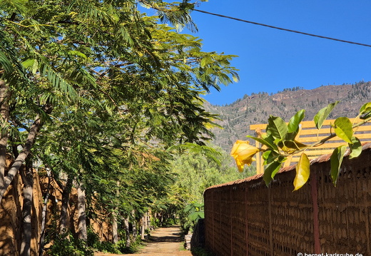 25-01-15-los llanos-finca-camino verde-004