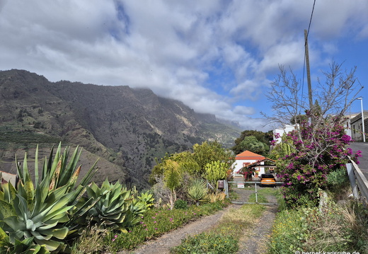 25-01-17-los llanos- barranco de las angustias-007