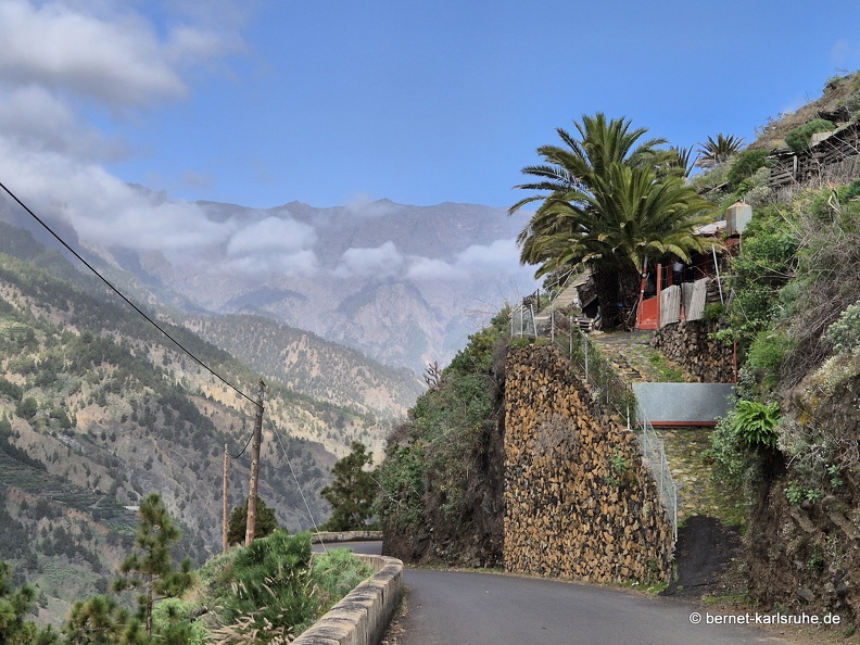 25-01-17-los llanos- barranco de las angustias-015.jpg