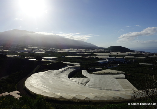 25-01-18-los llanos-montana del laurel-029