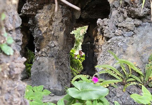 25-01-20-los llanos-parque gomez fernandez-009