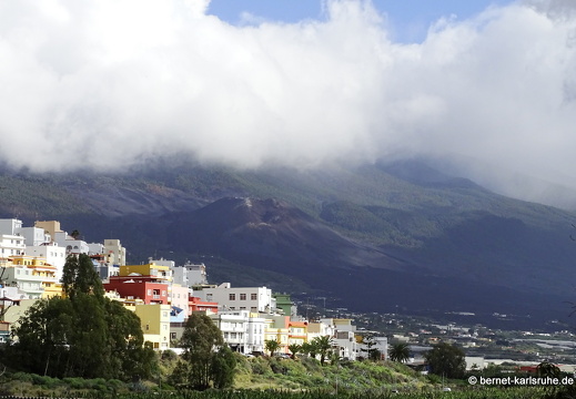 25-01-23-los llanos-068