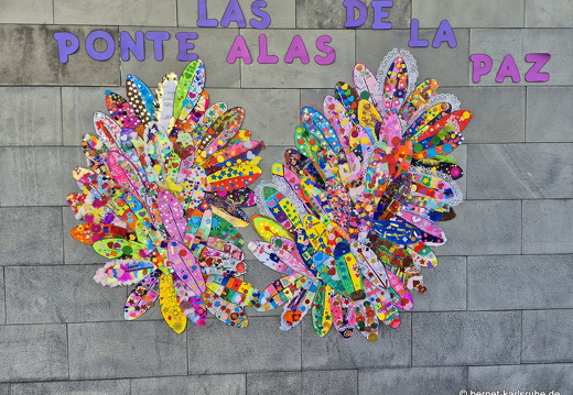 25-01-31-los llanos-015