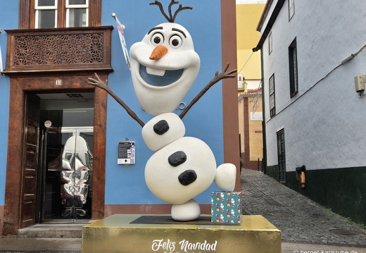 24-12-09-sc-calle odaly-004