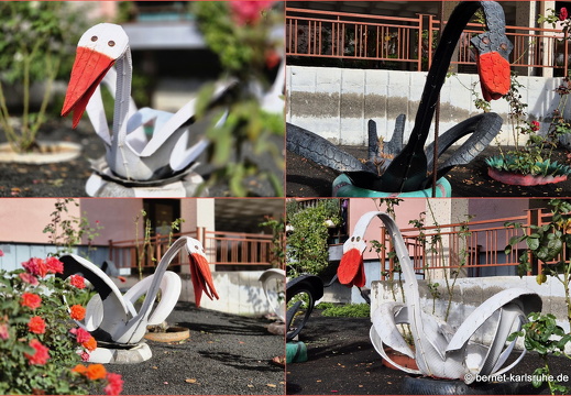 24-12-11-collage-sc-calle hermanos-s-r-gummischwaene-001