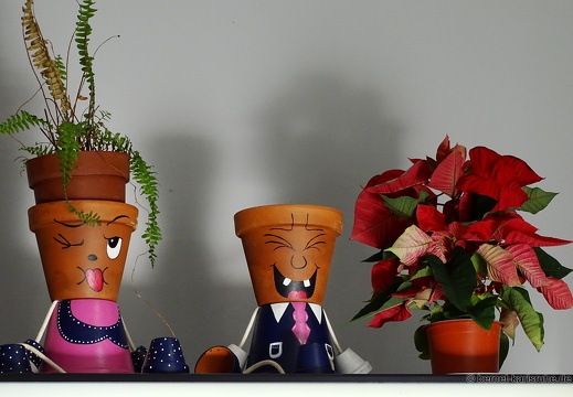 24-12-16-sc-bar bahia-weihnachtsdeko-004