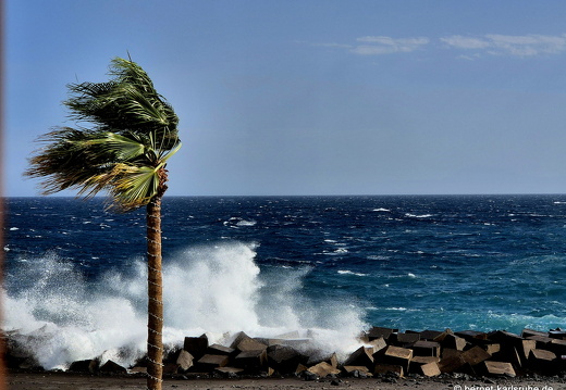 24-12-16-sc-sturm-001