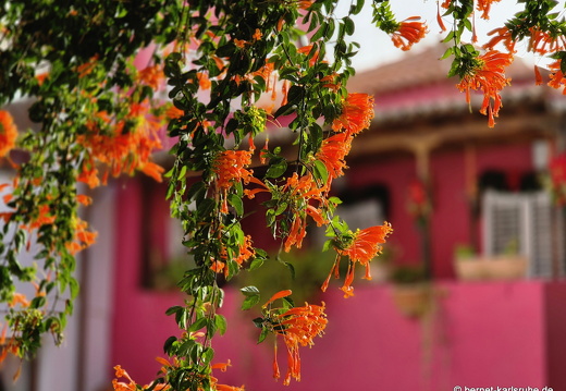 24-12-17-sc-plaza periodista-juan francisco perez-001