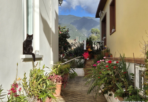 24-12-26-sc-mirador de conception-calle la cuesta-012