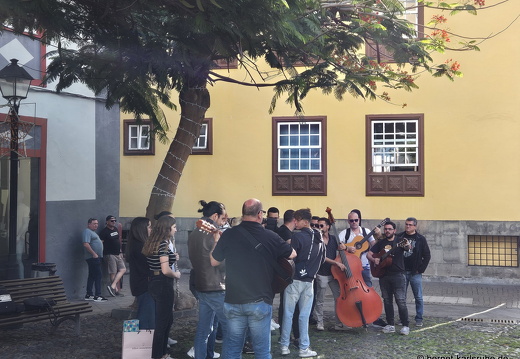 24-12-27-sc-plaza de vandale-008