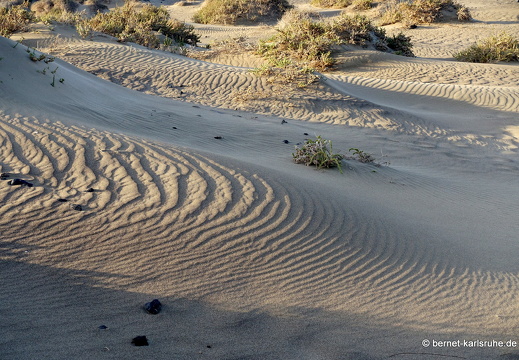 24-02-06-caleta de famara-054