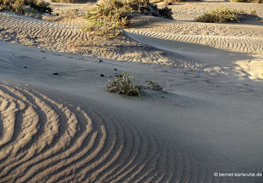 24-02-06-caleta de famara-057