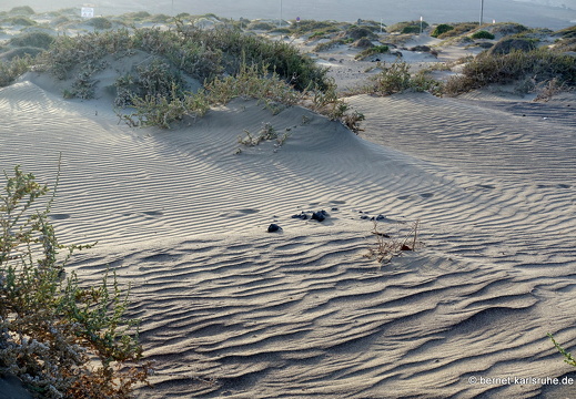 24-02-06-caleta de famara-060