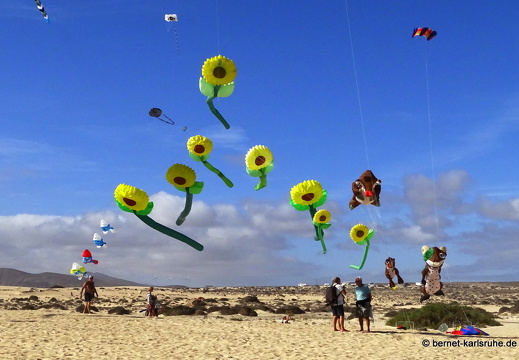 Internationales Drachenfestival