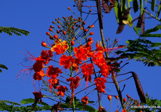 23-11-19-oasis park-097