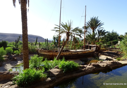 23-11-19-oasis park-103