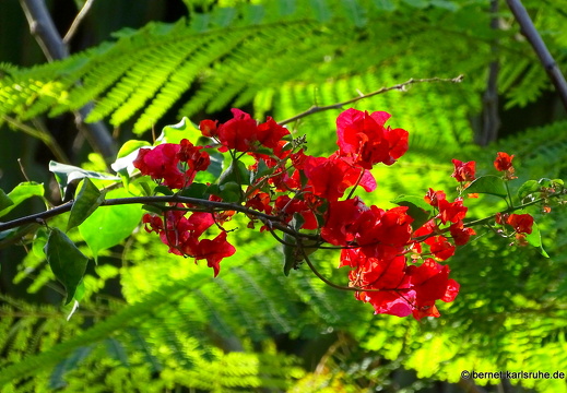 23-11-19-oasis park-122