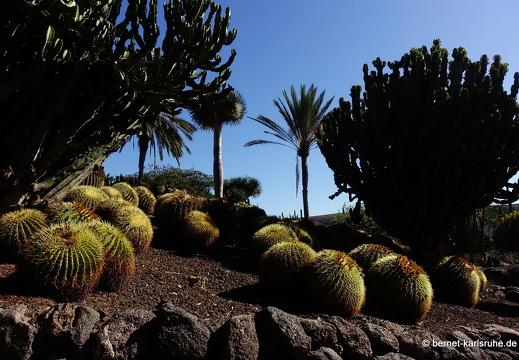 23-11-19-oasis park-136