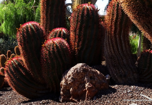 23-11-19-oasis park-152