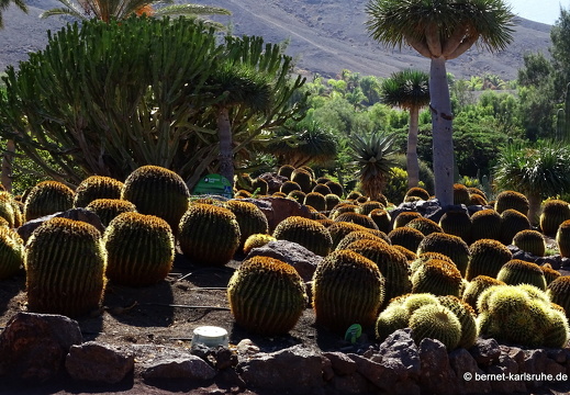 23-11-19-oasis park-153