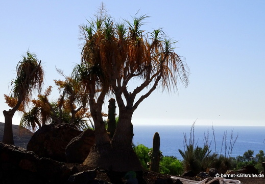 23-11-19-oasis park-171