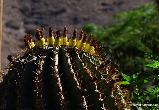 23-11-19-oasis park-199